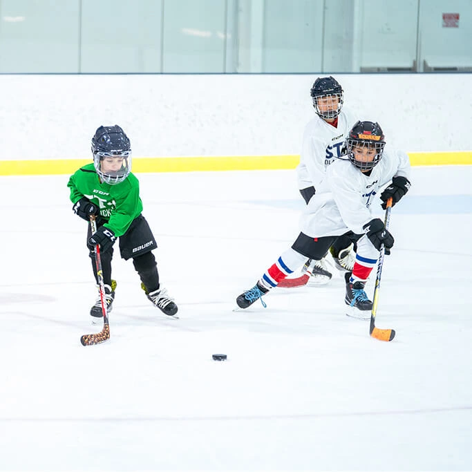 house-league-action-shot (1)