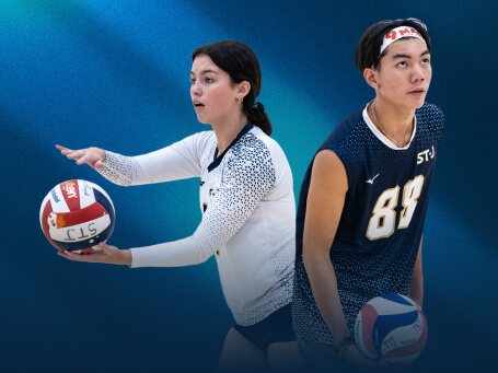 travel-volleyball-mobile