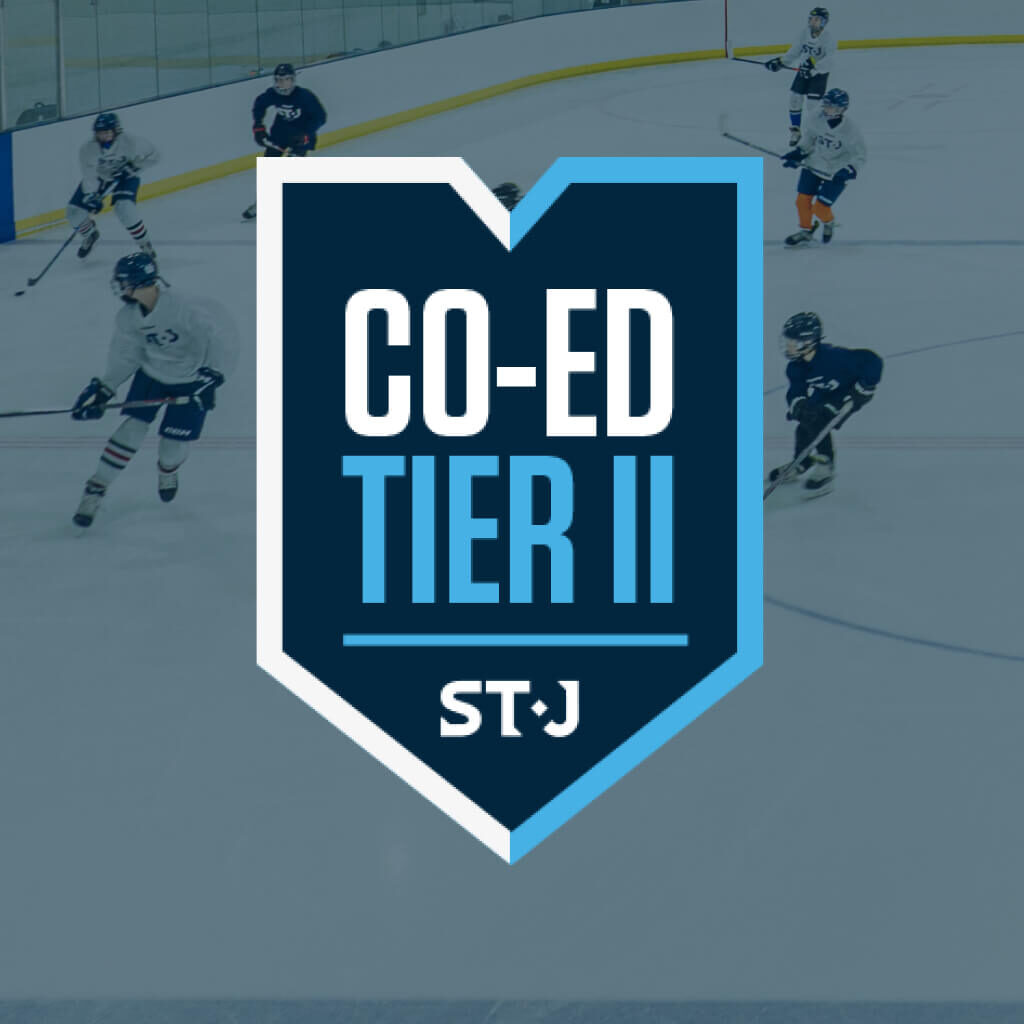 co-ed-tier-ii-tournament (1)